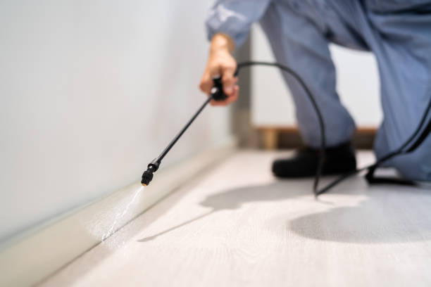 Professional exterminator conducting IPM assessment in Brandywine Bay