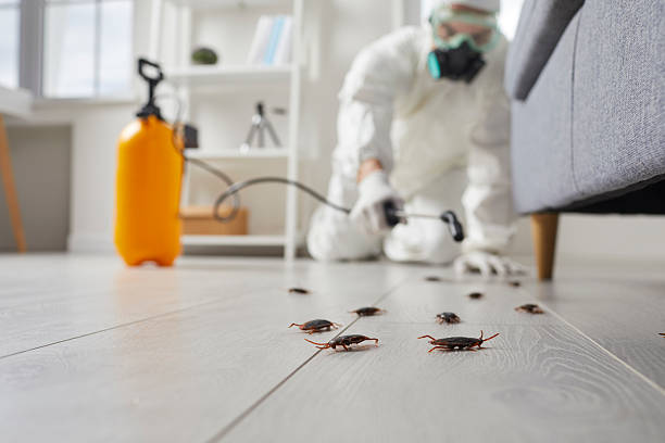 Post-Treatment Bed Bug Interceptor Monitoring in Brandywine Bay